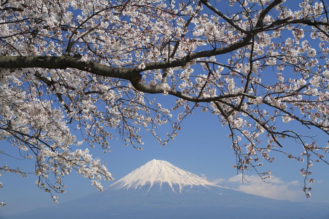 Business Sunpu Shizuoka